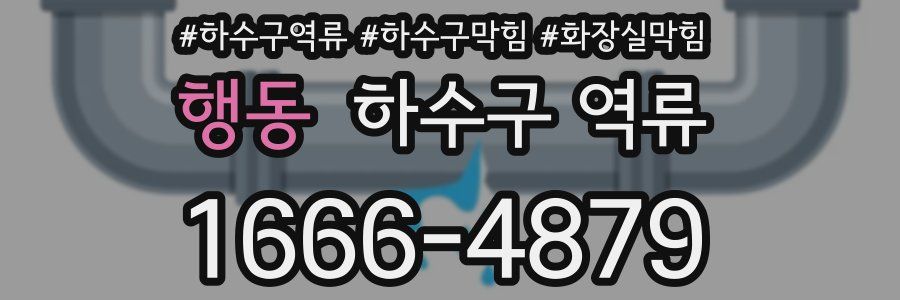 행동 하수구 역류