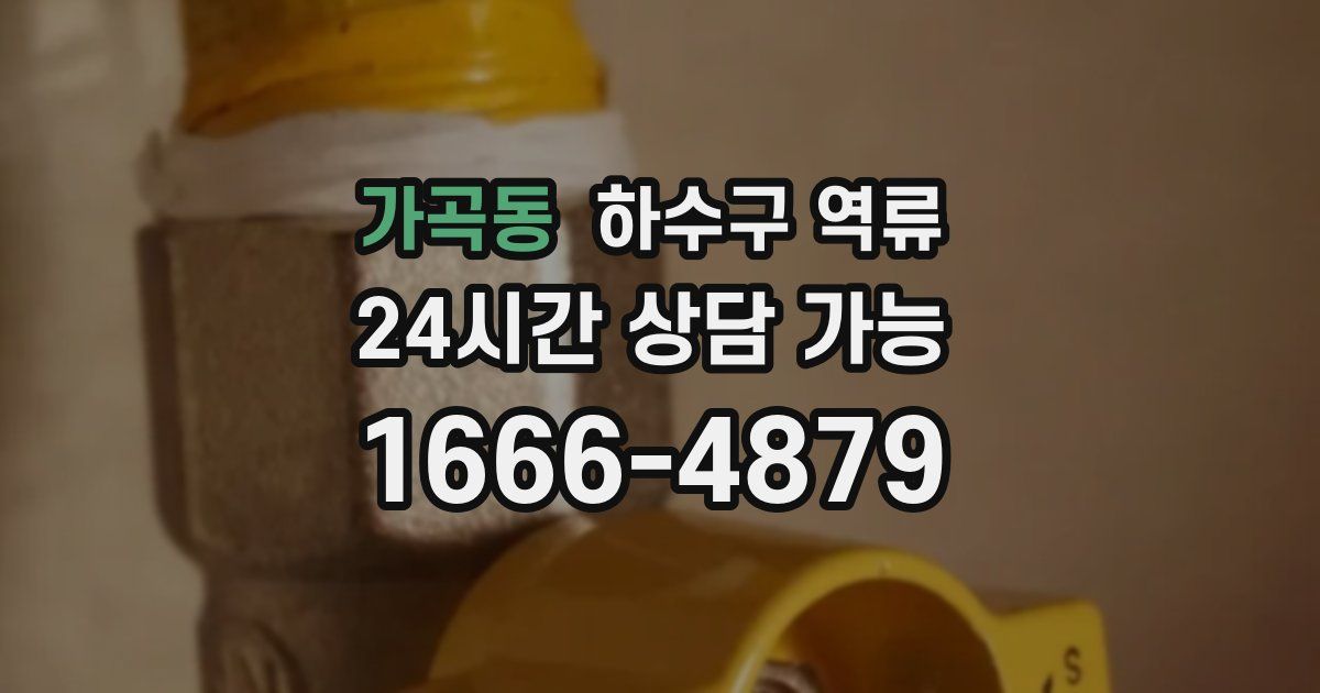 가곡동 하수구 역류