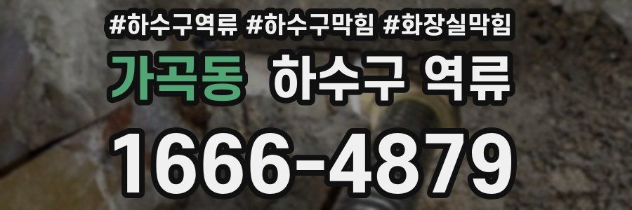 가곡동 하수구 역류