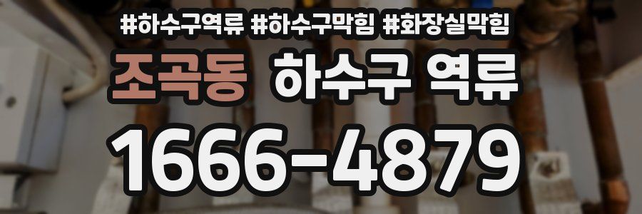 조곡동 하수구 역류