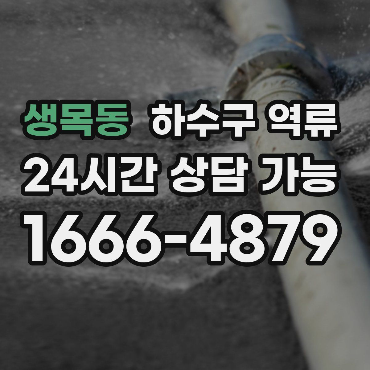 생목동 하수구 역류