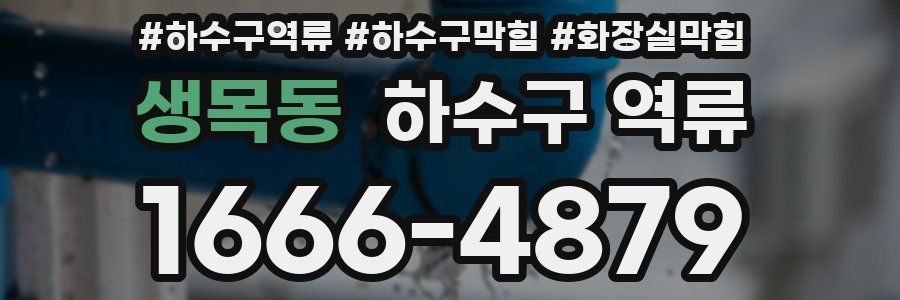 생목동 하수구 역류