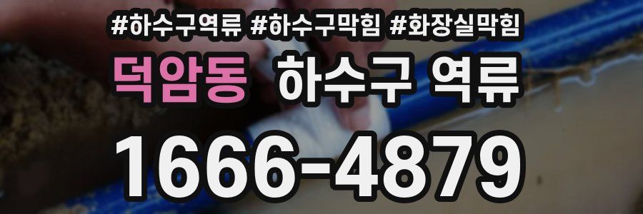 덕암동 하수구 역류