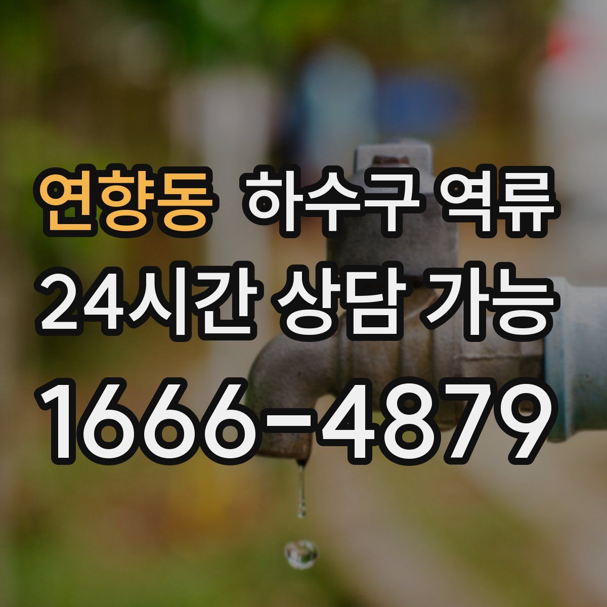 연향동 하수구 역류