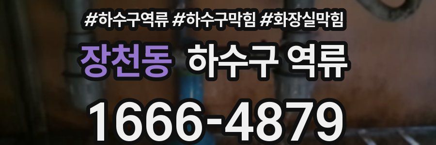 장천동 하수구 역류