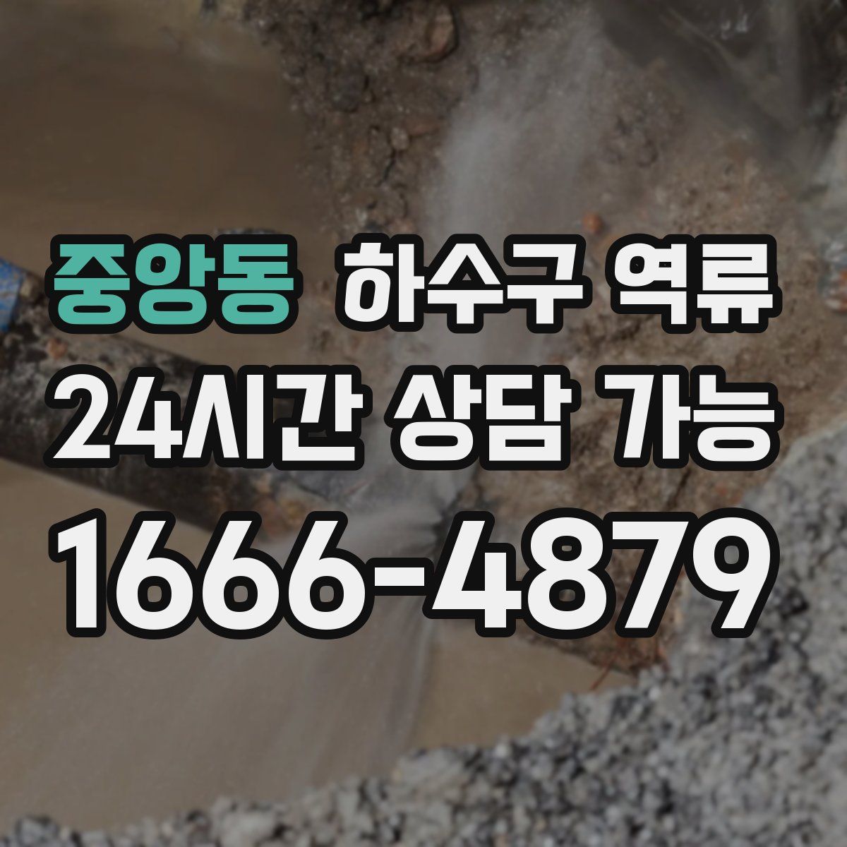 중앙동 하수구 역류