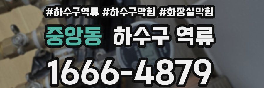 중앙동 하수구 역류