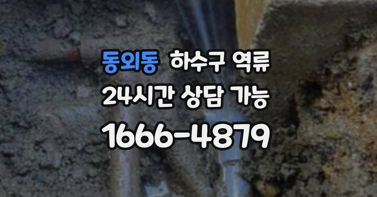 동외동 하수구 역류