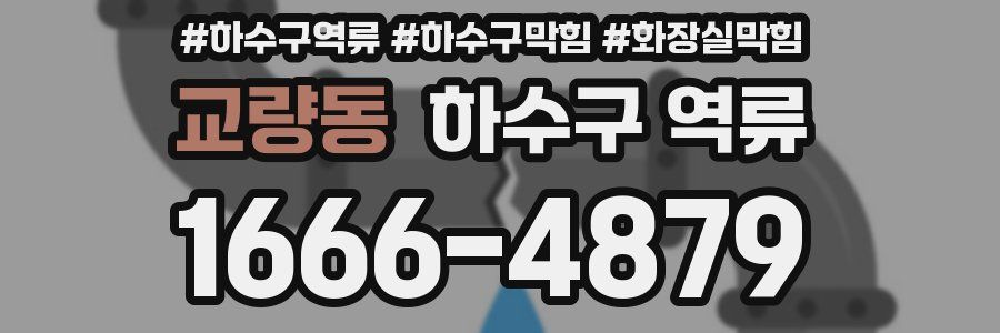 교량동 하수구 역류