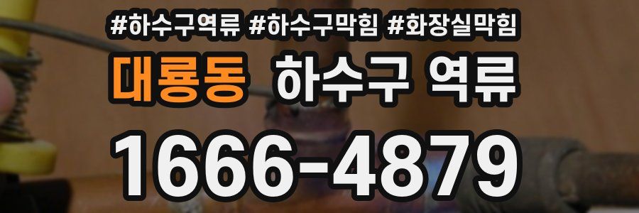 대룡동 하수구 역류