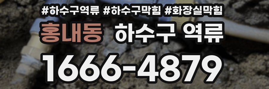 홍내동 하수구 역류