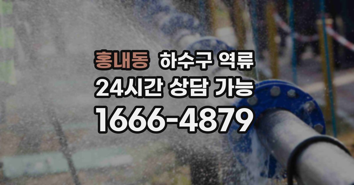 홍내동 하수구 역류