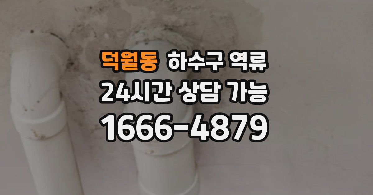 덕월동 하수구 역류