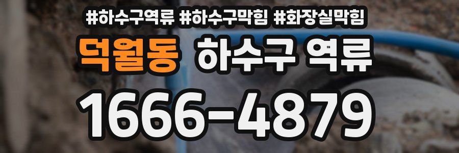 덕월동 하수구 역류
