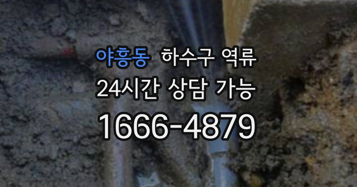야흥동 하수구 역류
