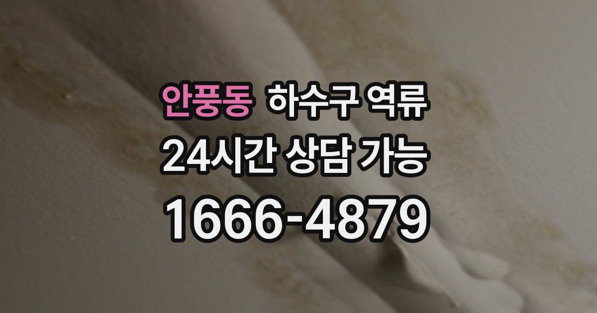 안풍동 하수구 역류