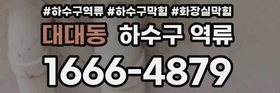 대대동 하수구 역류