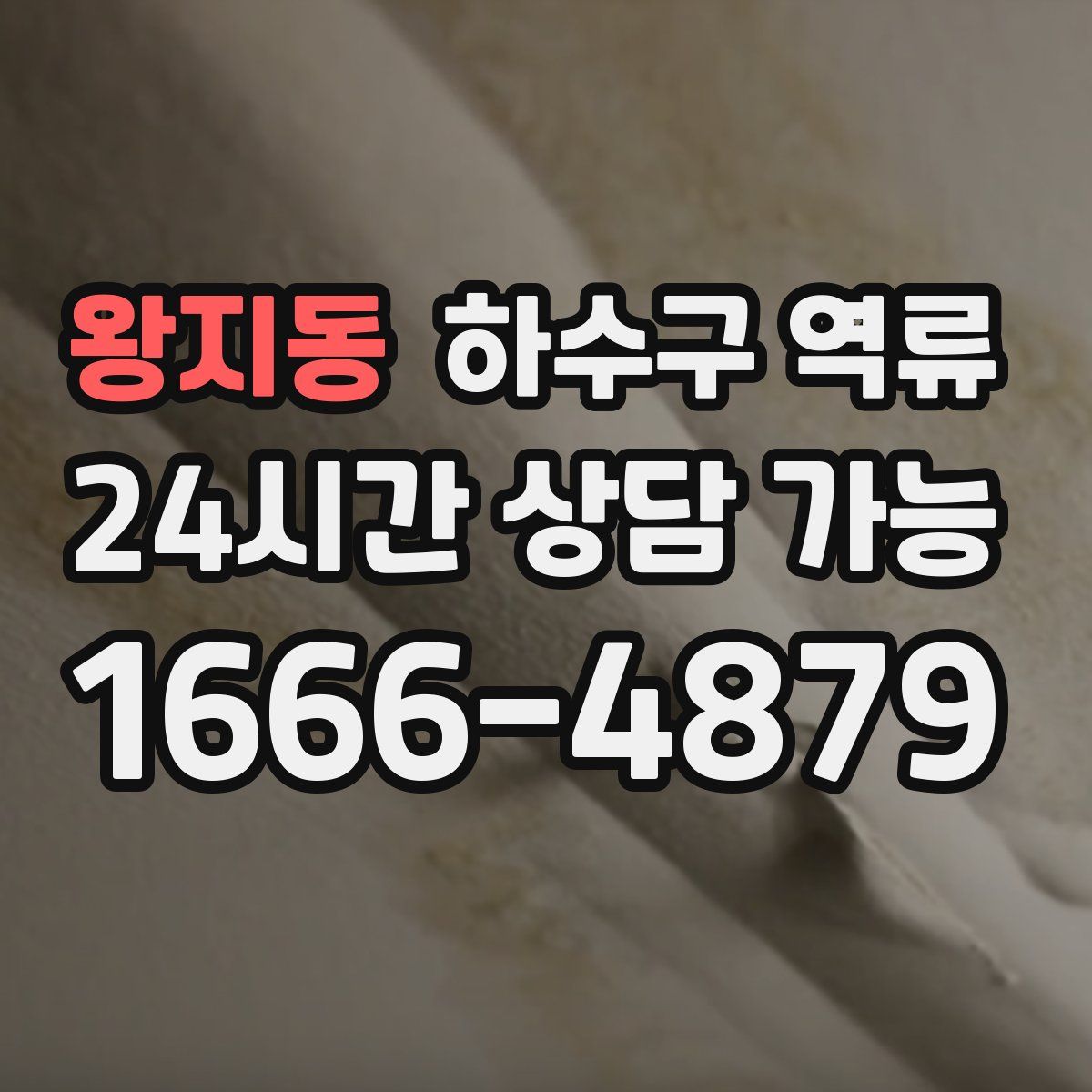 왕지동 하수구 역류