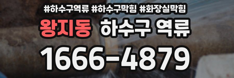 왕지동 하수구 역류