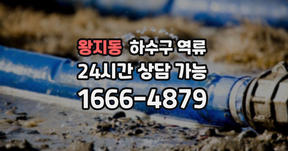 왕지동 하수구 역류