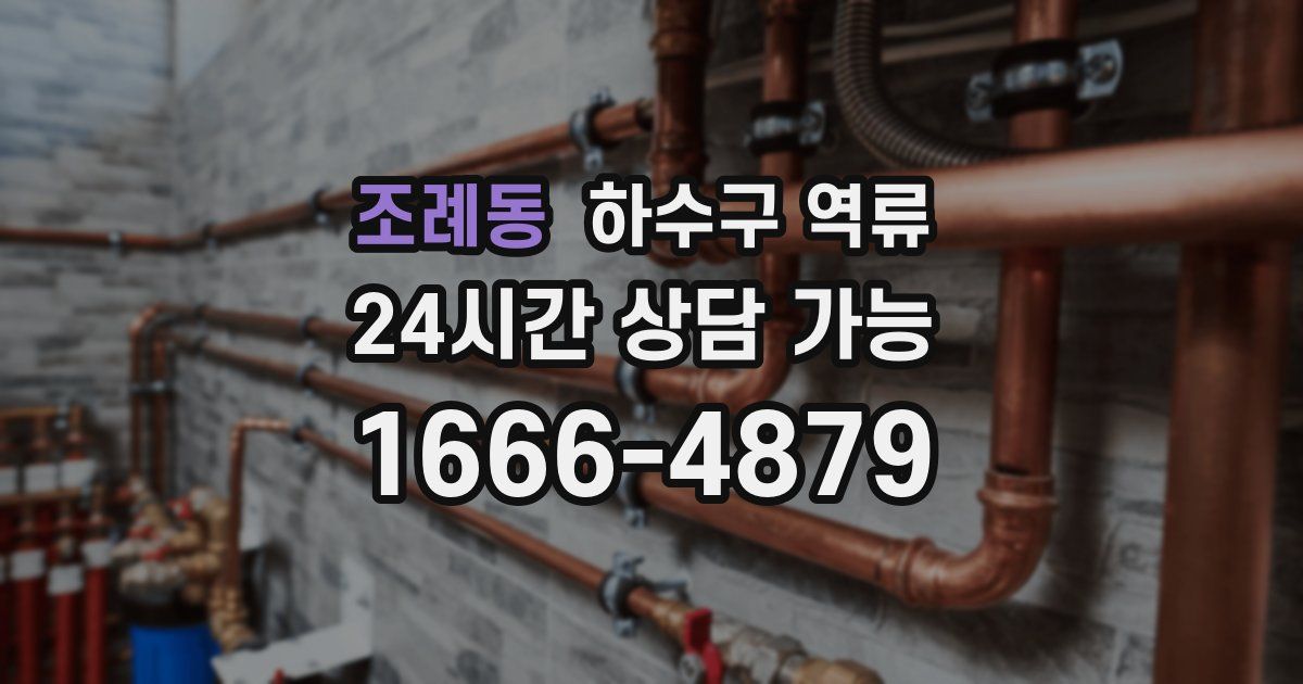 조례동 하수구 역류