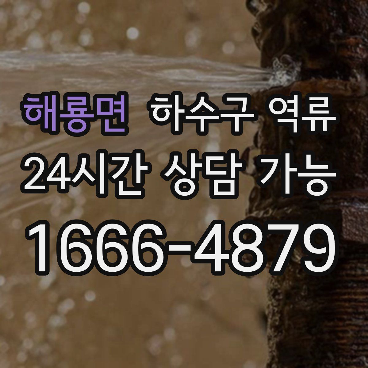 해룡면 하수구 역류