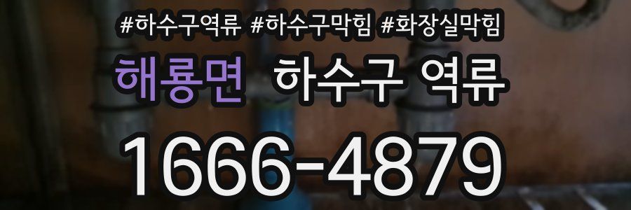 해룡면 하수구 역류