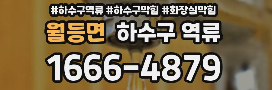 월등면 하수구 역류