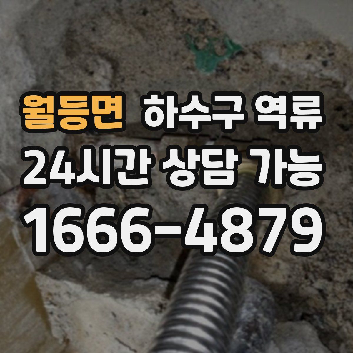 월등면 하수구 역류