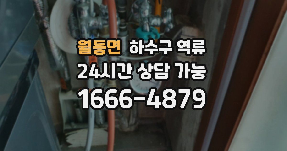 월등면 하수구 역류