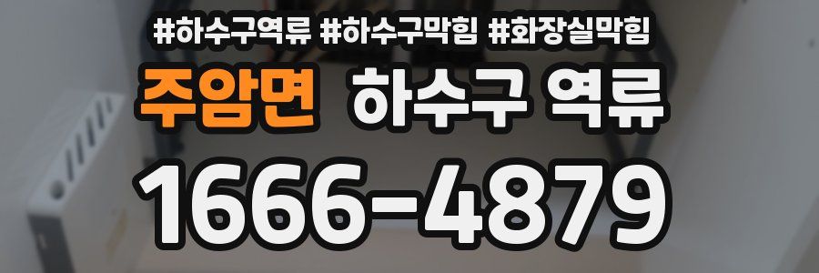 주암면 하수구 역류