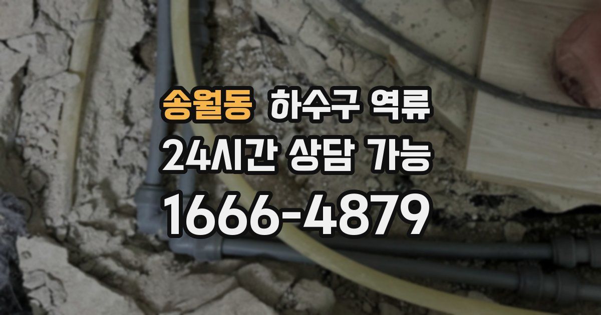 송월동 하수구 역류