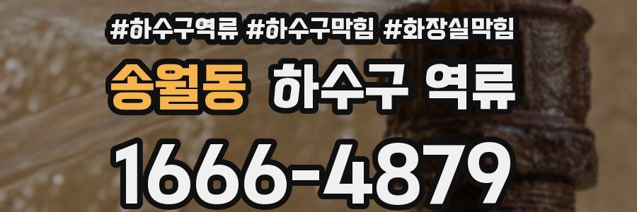 송월동 하수구 역류