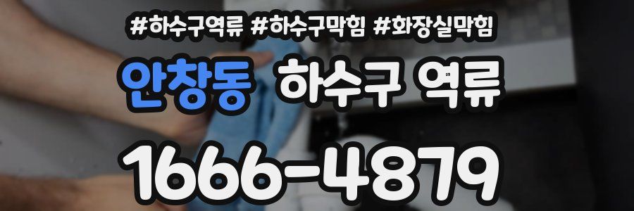 안창동 하수구 역류