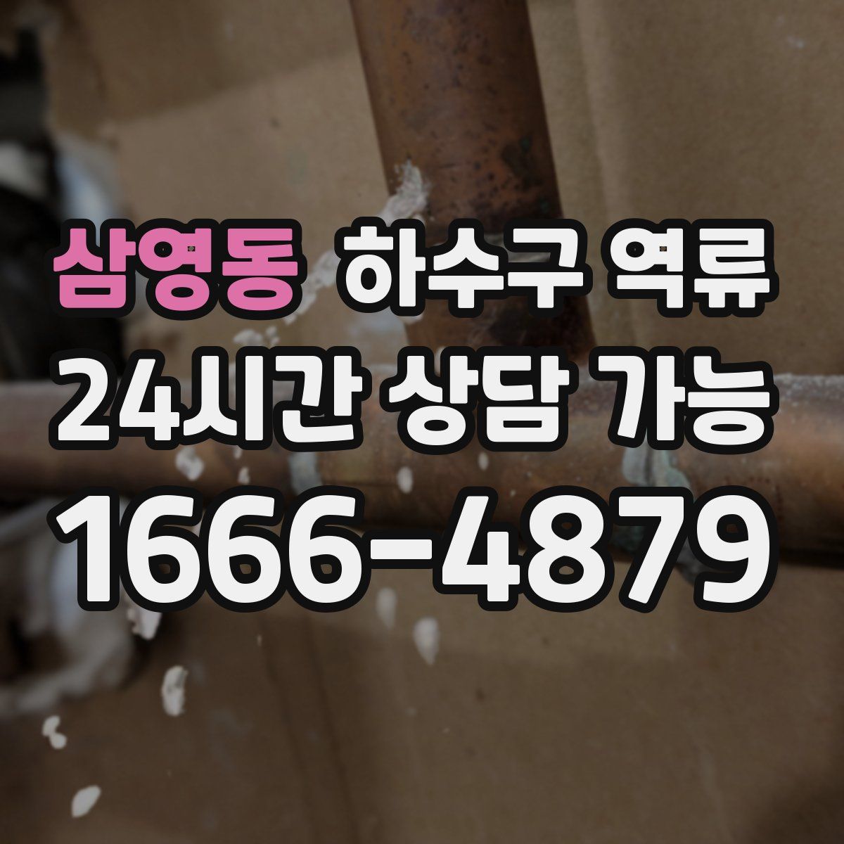 삼영동 하수구 역류