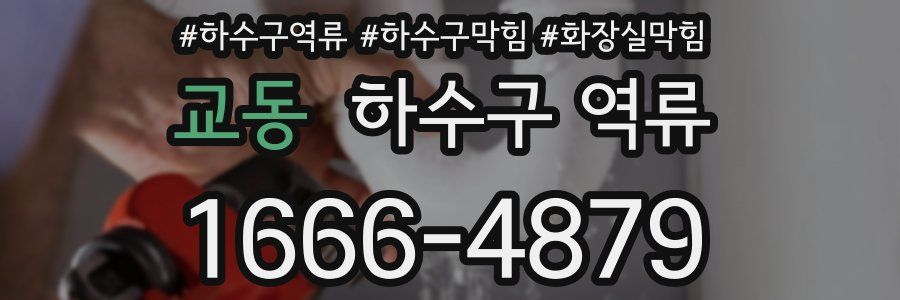 교동 하수구 역류