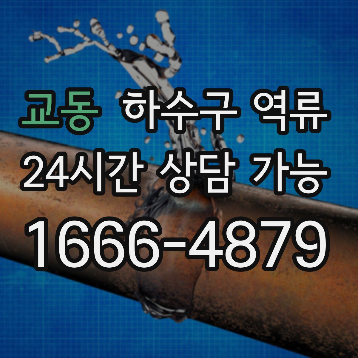 교동 하수구 역류