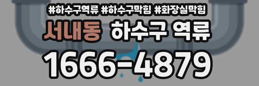 서내동 하수구 역류