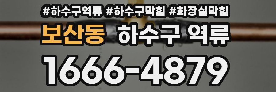 보산동 하수구 역류