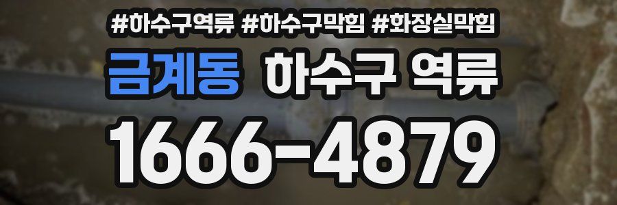 금계동 하수구 역류