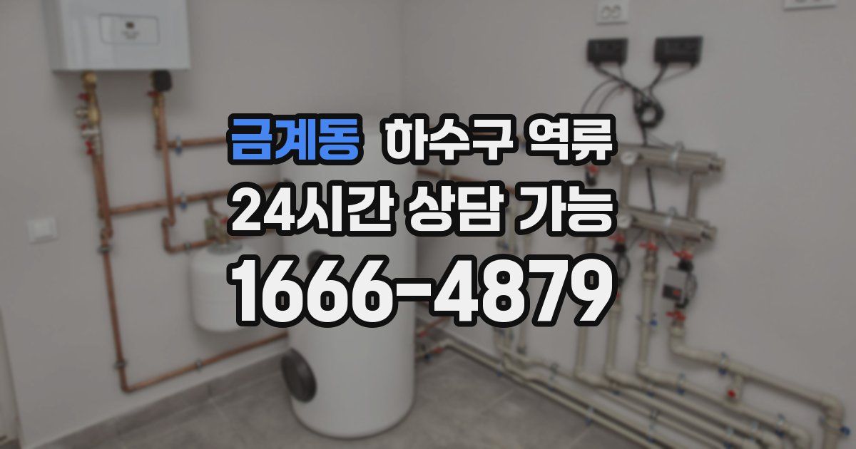 금계동 하수구 역류