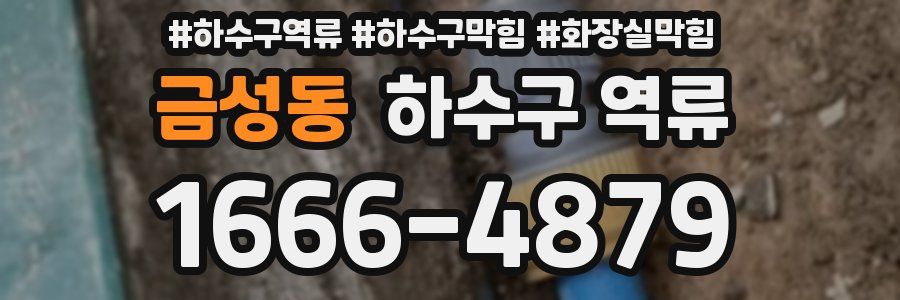 금성동 하수구 역류