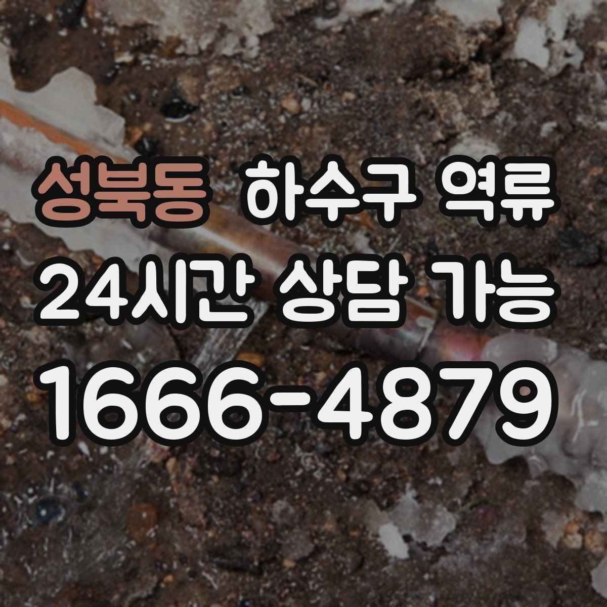 성북동 하수구 역류