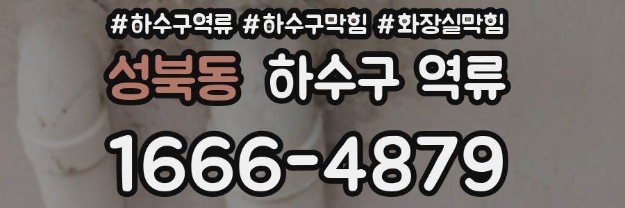 성북동 하수구 역류