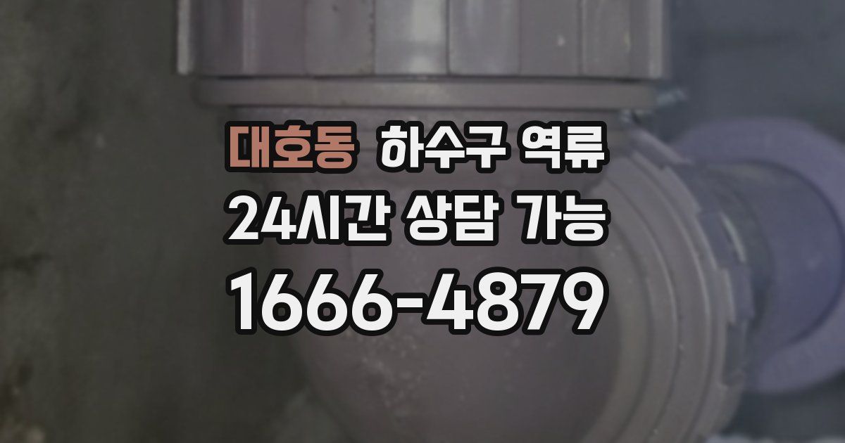 대호동 하수구 역류