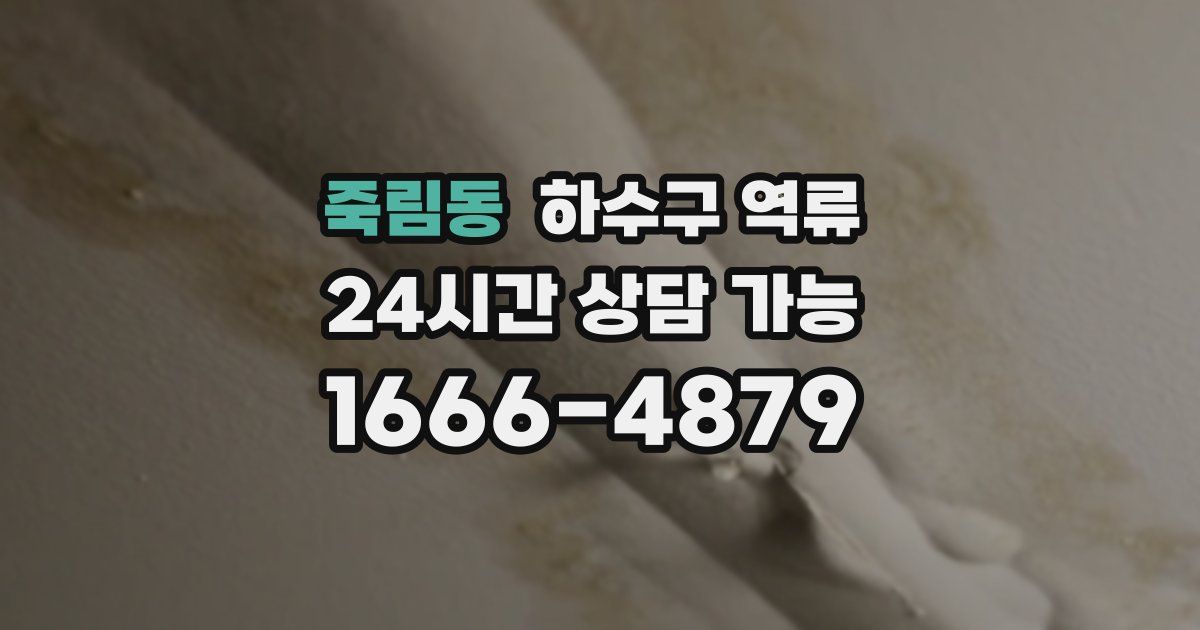 죽림동 하수구 역류