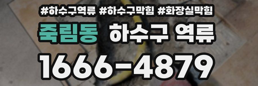 죽림동 하수구 역류