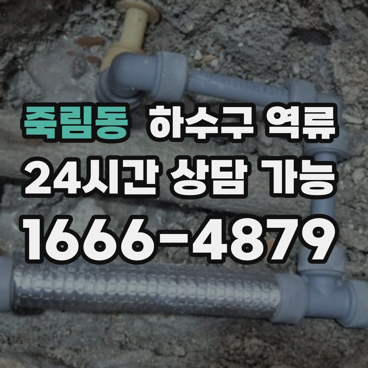 죽림동 하수구 역류