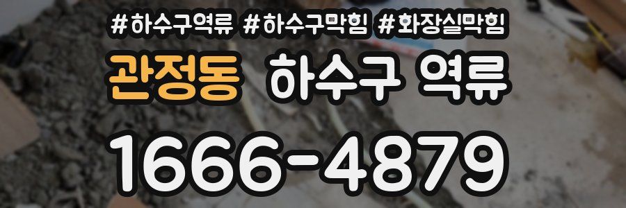 관정동 하수구 역류