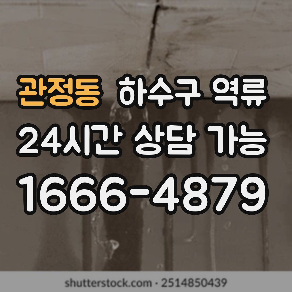 관정동 하수구 역류